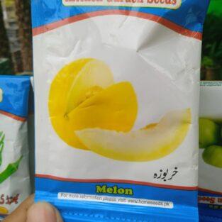 melon seeds