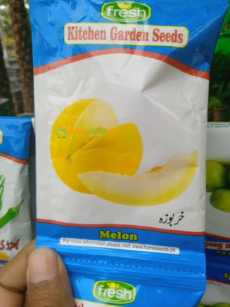 melon seeds