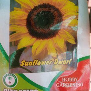 SUNFLOWER SEEDS