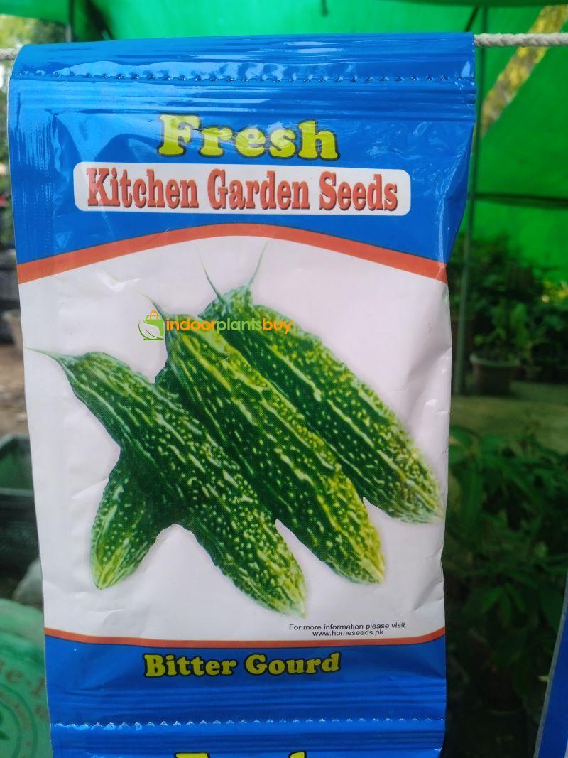 Bitter Gourd Seeds