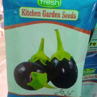Brinjal Vegetable Seeds