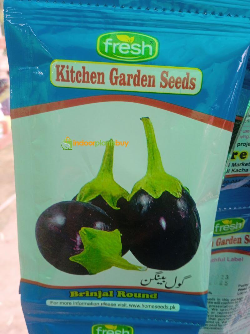 Brinjal Vegetable Seeds