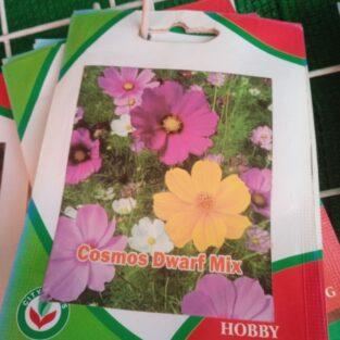 COSMOS FLOWER SEEDS
