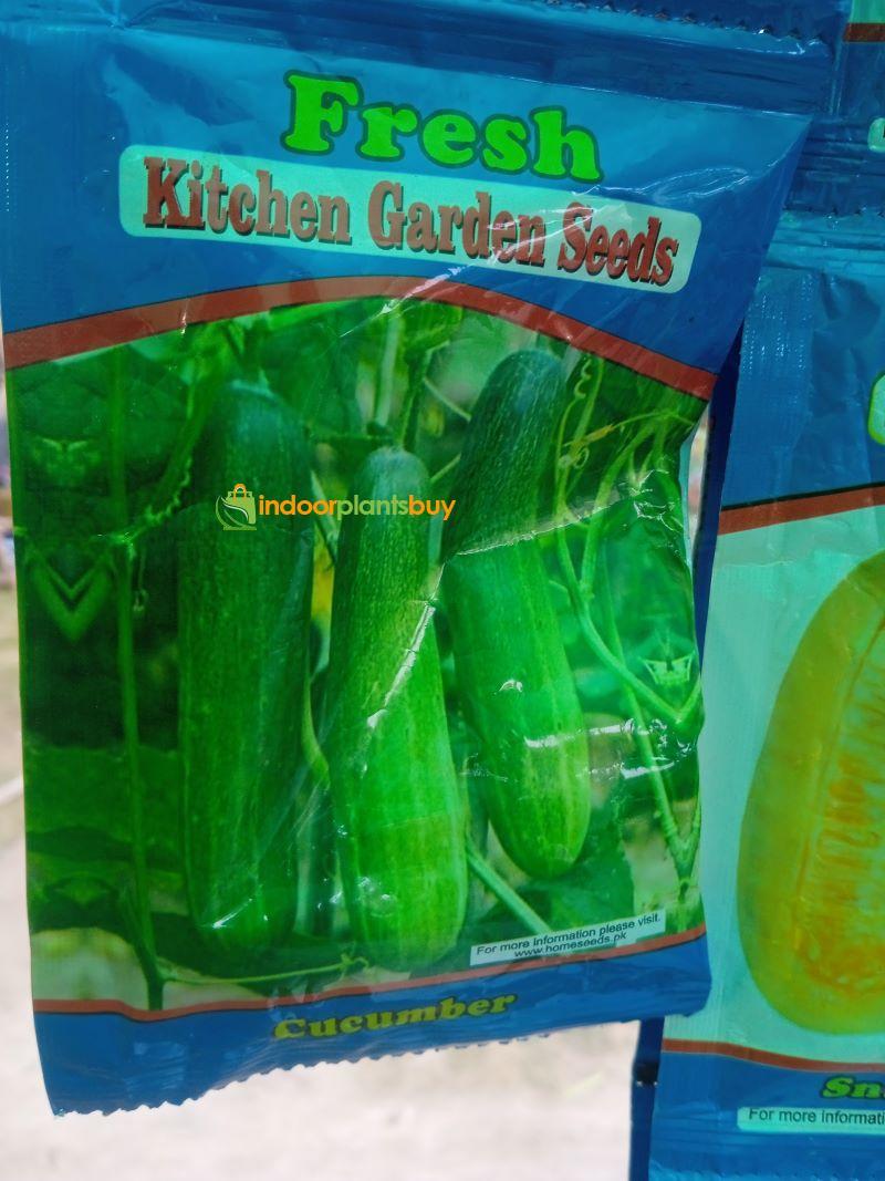 Cucumber Vegetable Seeds