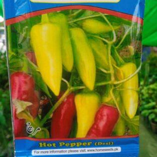 Green Pepper Seeds