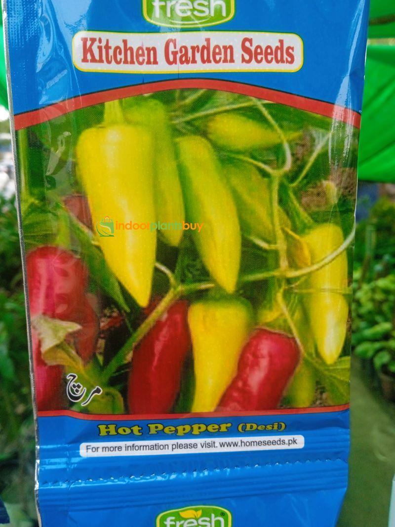 Green Pepper Seeds