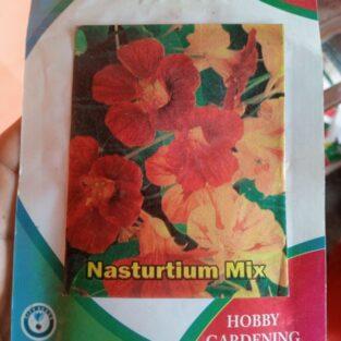 NASTURTIUM SEEDS