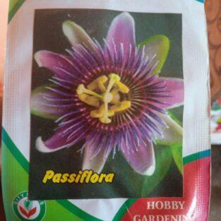 PASSIFLORA CAERULEA-INCARNATA