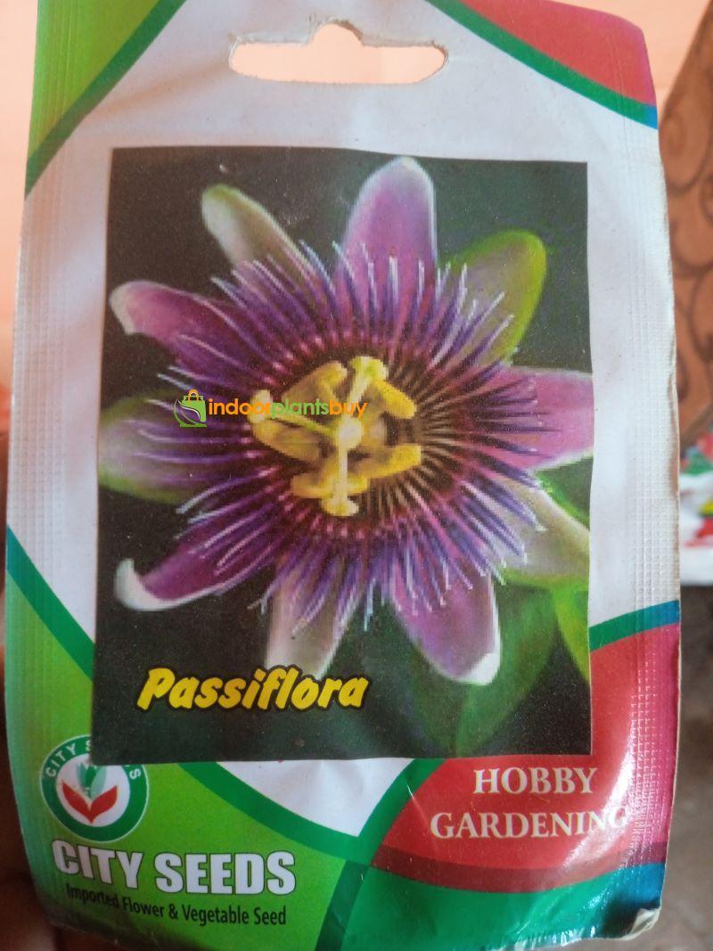 PASSIFLORA CAERULEA-INCARNATA
