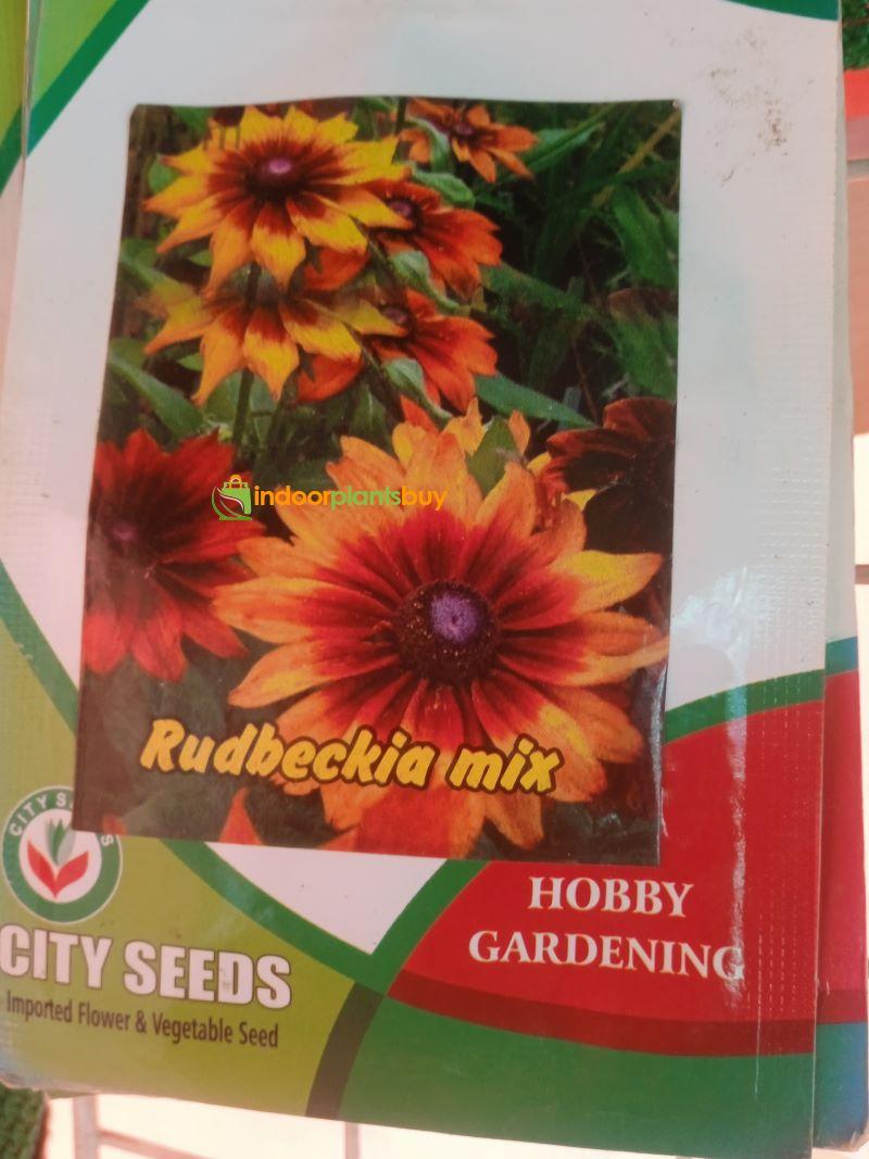 RUDBECKIA SEEDS