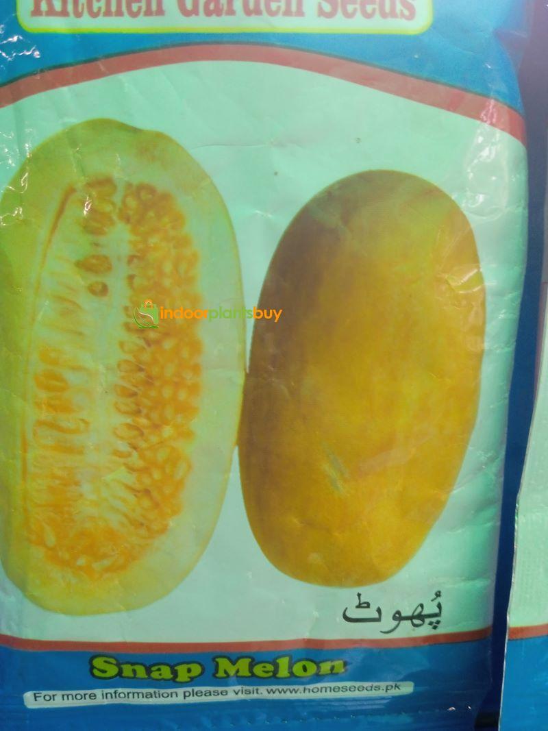 Snap Melon