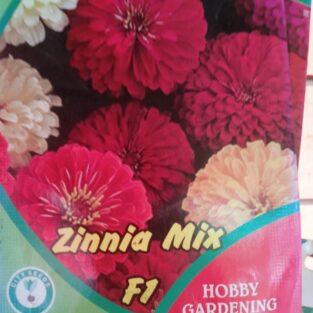 Zinnia all varieties