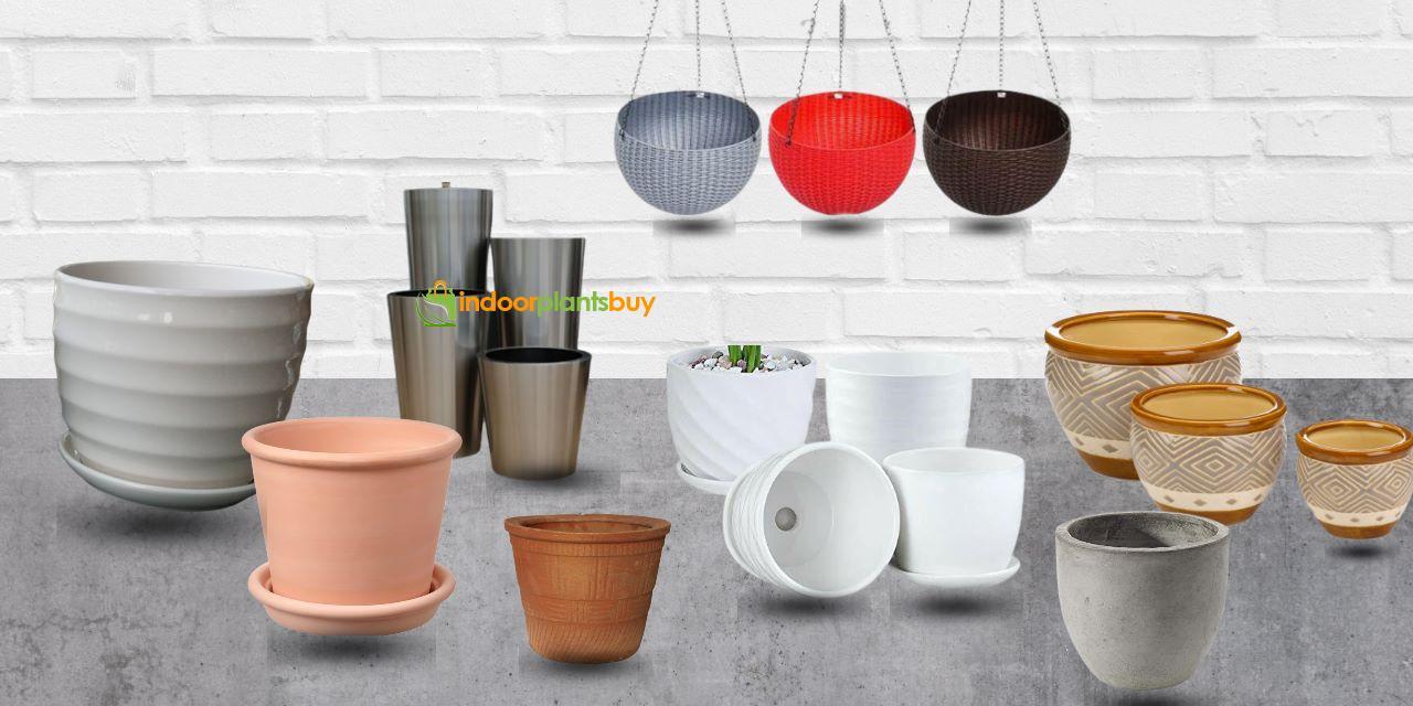 Plants Nursery Online Pots Seeds